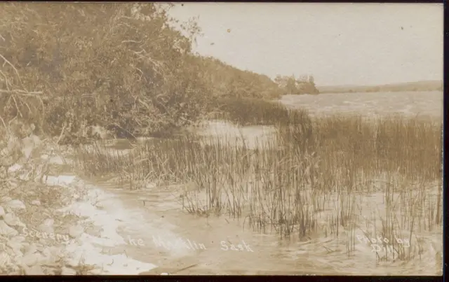 Shore of Macklin Lake
